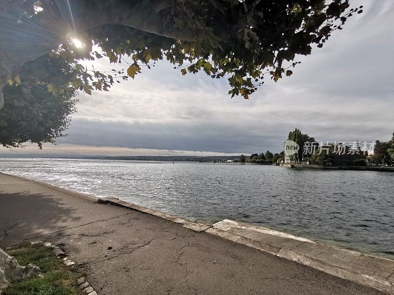 在康斯坦茨湖的Konstanz Seestrasse，阳光穿过茂密的树叶